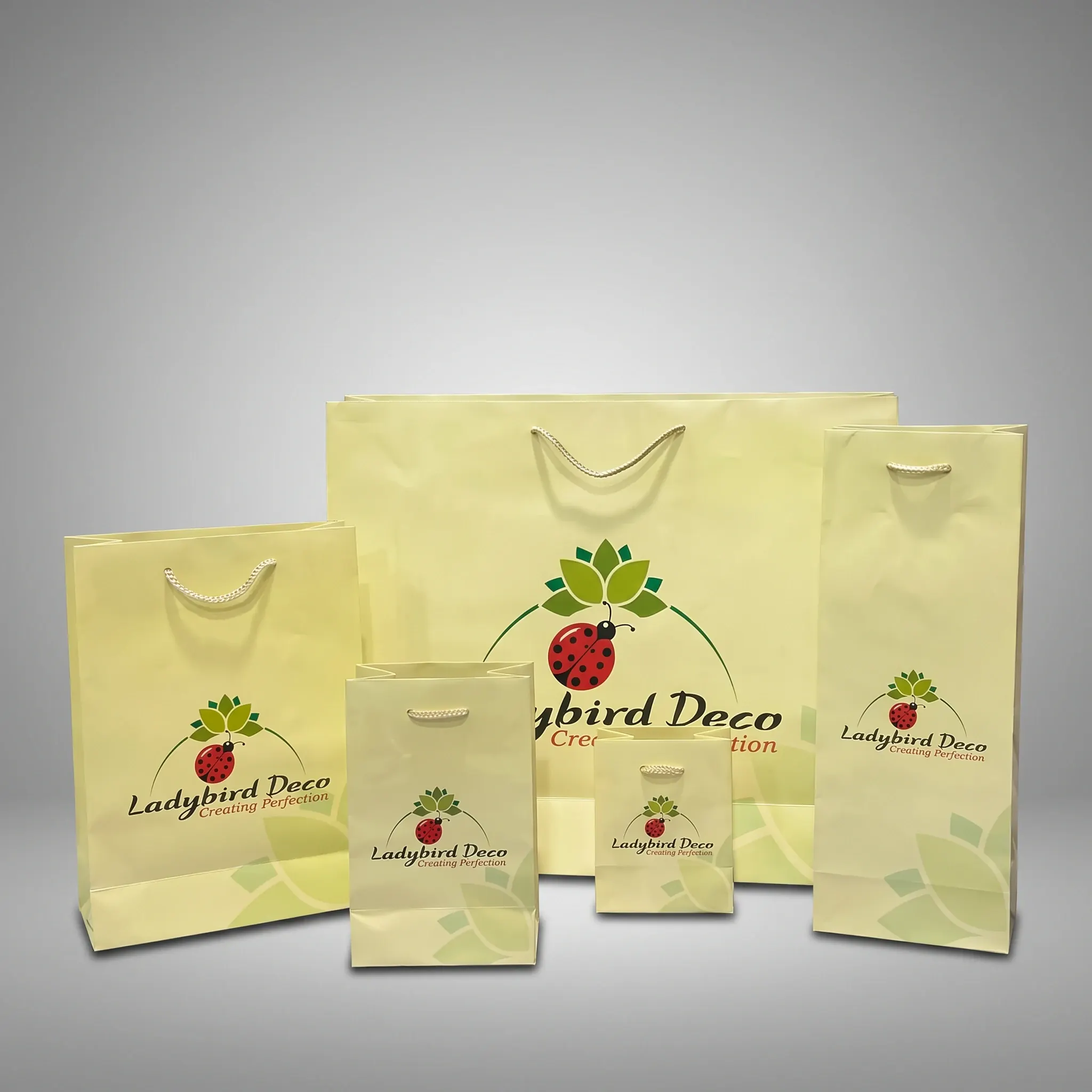 Χάρτινη σακούλα με εκτύπωση λογοτύπου — Ladybird Deco | Laderos Bags
