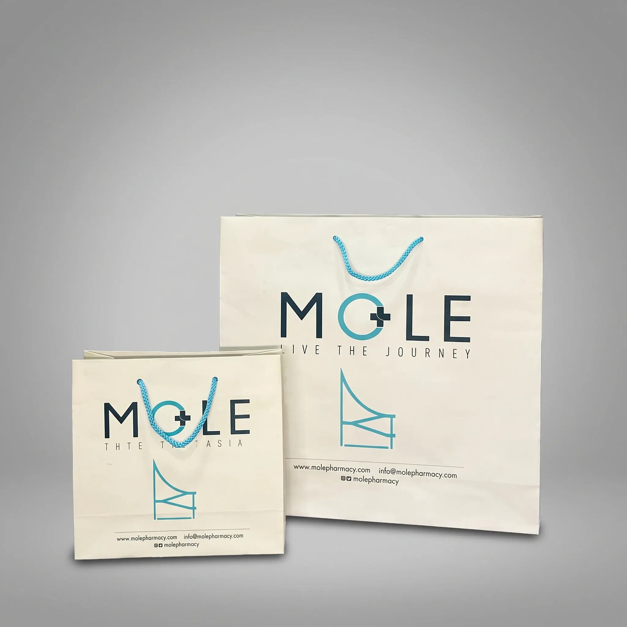 Χάρτινη σακούλα με εκτύπωση λογοτύπου — Mole | Laderos Bags